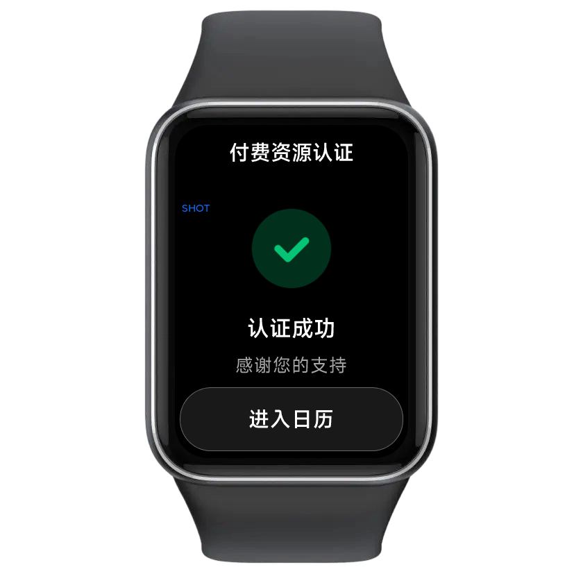 认证成功手表效果